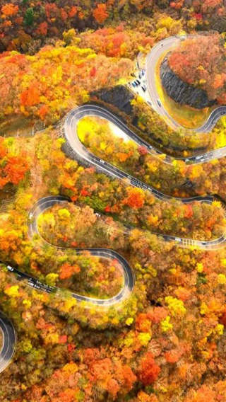 1-day tour to Nikko, Lake Chūzenji and Kegon waterfalls - classic world heritage route