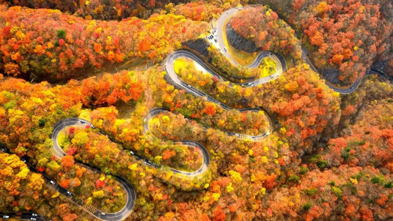 1-day tour to Toshogu shrine, Irohazaka winding road, Lake Chūzenji and Kegon waterfalls - classic world heritage route