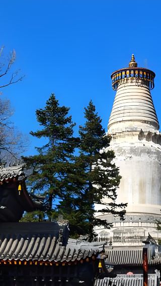 Wu Tai Shan one-day Chinese group tour from Taiyuan and Xinzhou, Shanxi. Spacious bus for convenient travel!