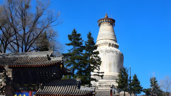 Shanxi Taiyuan'dan Wutai Dağı'na Çinli Grup Günübirlik Turu - Geniş Otobüs ve Rahat Seyahat!