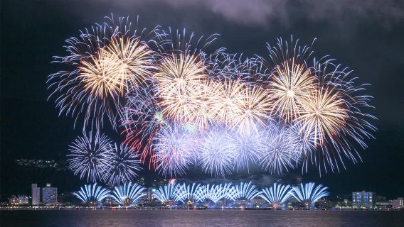 Tour di un giorno al Festival dei Fuochi d'Artificio del Lago Suwa nella prefettura di Nagano, Giappone: Partenza da Tokyo