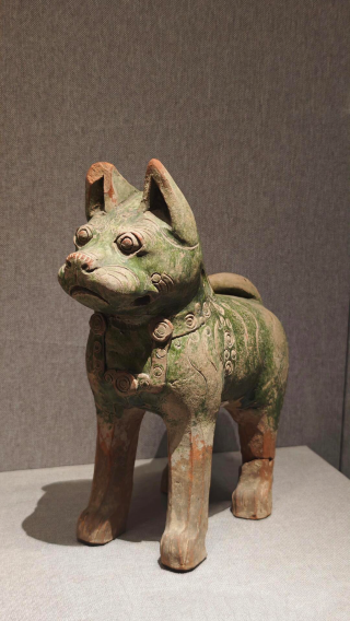 Private One-Way Tour: Henan Museum, Shaolin Temple, Zhengzhou to Luoyang or vice versa