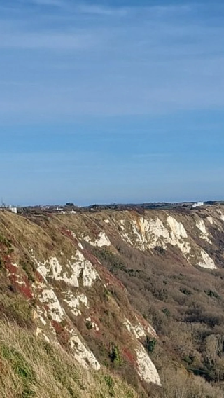 White cliffs of Dover + Leeds Castle + Canterbury Cathedral + Greenwich cruise [departure from London]