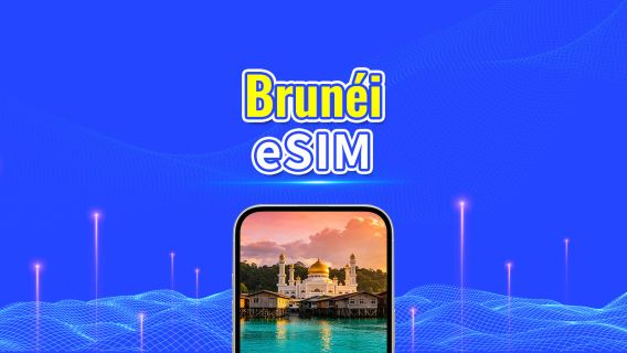 eSIM 5G de Brunéi | Paquete diario/Paquete de datos | Facturación cada 24 horas | 1-30 días | Código QR