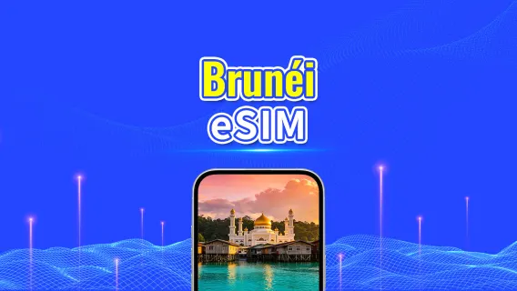 eSIM 5G de Brunéi | Paquete diario/Paquete de datos | Facturación cada 24 horas | 1-30 días | Código QR