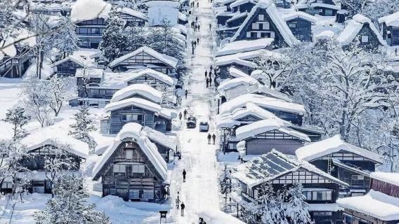 北海道札幌國際雪場/神威岬/小樽/白色戀人/中文定制包車