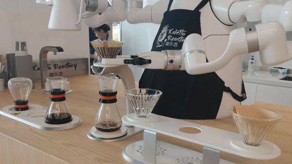 Shanghai One‑Day Tech Tour: Humanoid Robots, Science Museum & AP Plaza