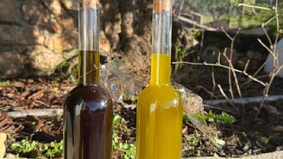 Near Malaga: Mijas Organic Vineyard, 5 Wines, 2 Oils & Tapas
