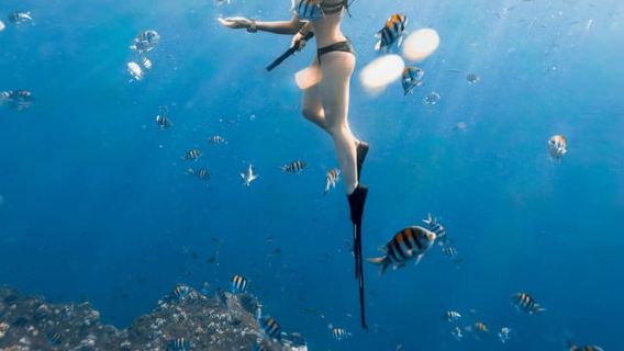 Mnemba Island: Dolphin Swim, Snorkeling & Sandbank Tour