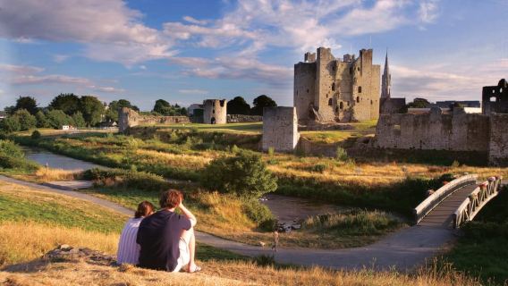 From Dublin: Celtic Boyne Valley and Ancient Sites Tour