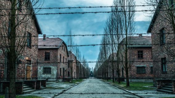 Краков: экскурсия с гидом на целый день в Аушвиц-Биркенау и Соляную шахту