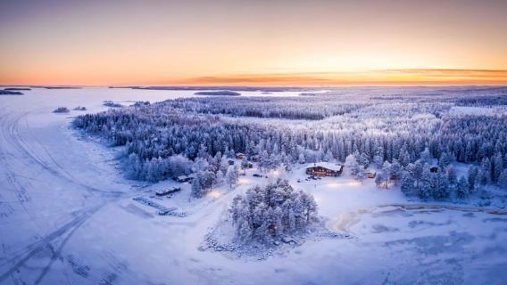 Luleå : Snowmobile - Forest and Ice Nature Tour 2h