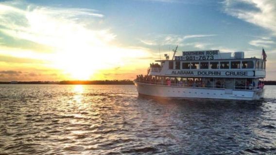 Orange Beach: Dolphin Cruise