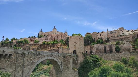 Historic Toledo: Cathedral and Museums in groups of maximum 10 people.