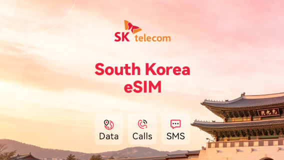 South Korea SKT 5G/4G native eSIM | calls + SMS | 010 phone number | 24 hr billing | QR code