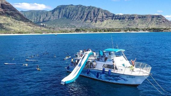 Hawái, Oahu: crucero para avistar delfines + esnórquel en actividades acuáticas + traslado y almuerzo