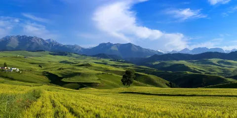 新疆奇台江布拉克一日遊【 天山怪坡/歡樂谷/大峽谷/斷橋】