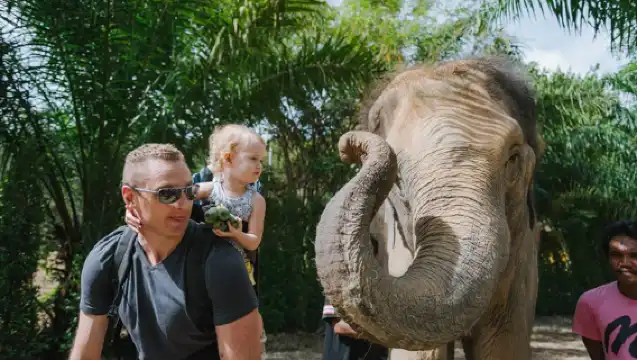 泰國泰萌大象營一日遊 萌象互動/大象洗澡泥漿浴/保護營