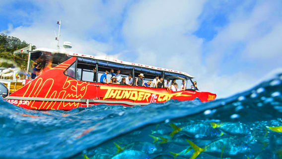 Airlie BeachTours