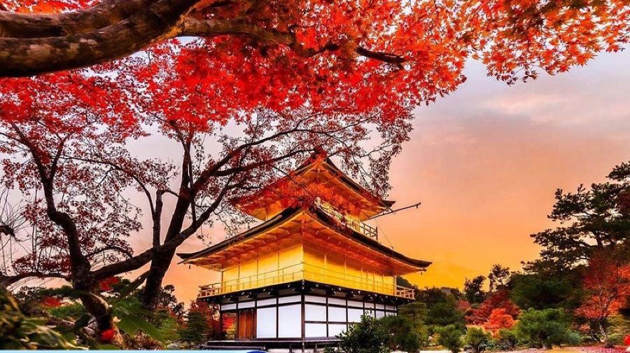 【純玩】金閣寺+清水寺+伏見稻荷大社日本大阪京都一日遊