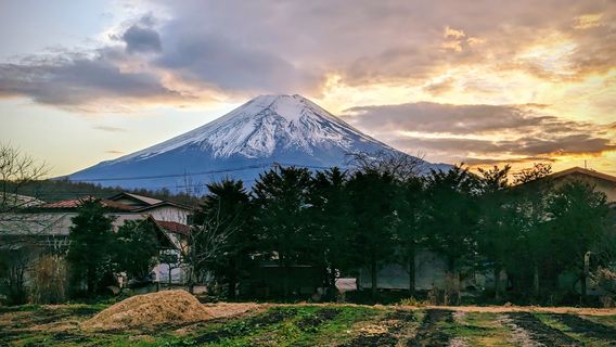 富士河口湖町日遊