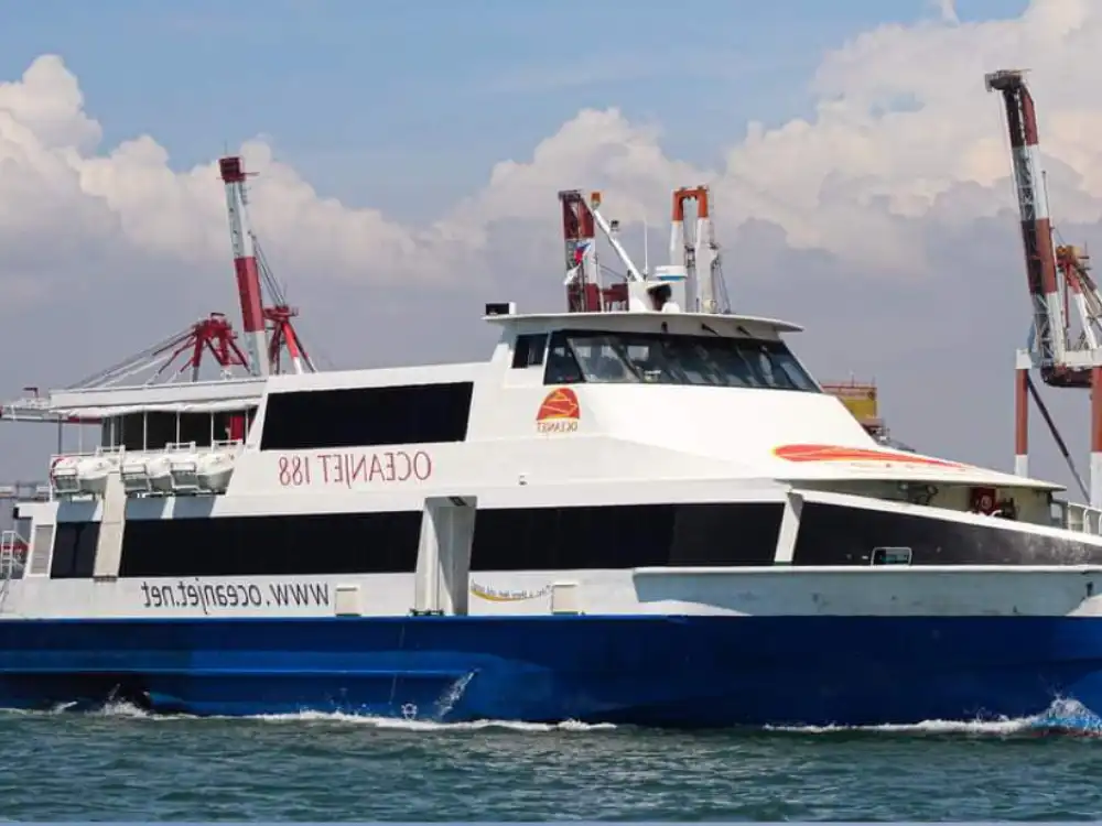 フィリピン・ボホール島-シキホル島往復乗船チケット（エコノミー