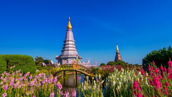 เชียงใหม่ ประเทศไทย | ดอยอินทนนท์ | ดอยอินทนนท์ | เดินป่า | ทัวร์ 1 วัน | ออกเดินทางจากเชียงใหม่