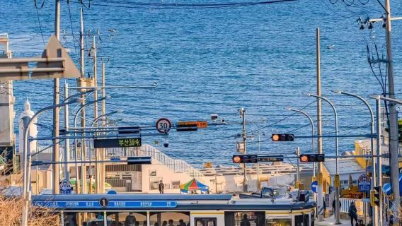 ทัวร์เกาะเชจูเกาหลีใต้ รถเช่าเหมา ทัวร์วันเดียว/ทัวร์หลายวัน อูโด ซองซาน ตำนาน ซอกวิโพ เอวอล ไกด์รับส่ง