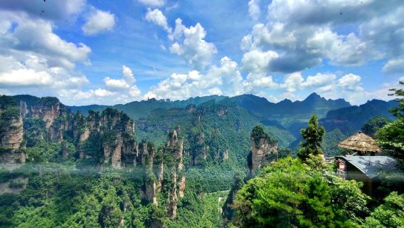Tour giornaliero al Parco Nazionale Forestale della Montagna Tianmen a Zhangjiajie