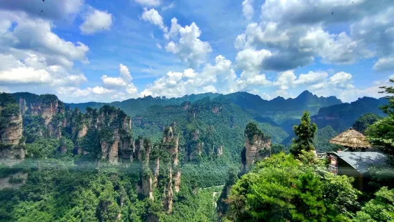 Tour giornaliero al Parco Nazionale Forestale della Montagna Tianmen a Zhangjiajie