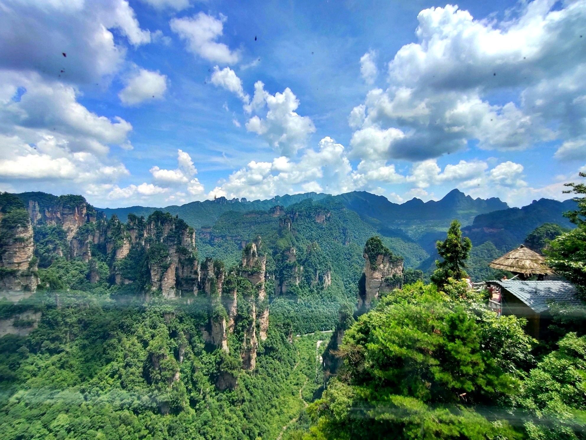 Tour giornaliero al Parco Nazionale Forestale della Montagna Tianmen a Zhangjiajie