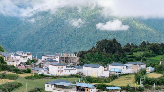 德欽日遊
