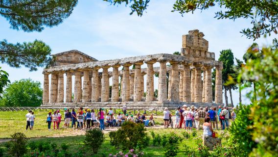 Paestum Archaeological Park: Skip The Line Entry + Guided Tour