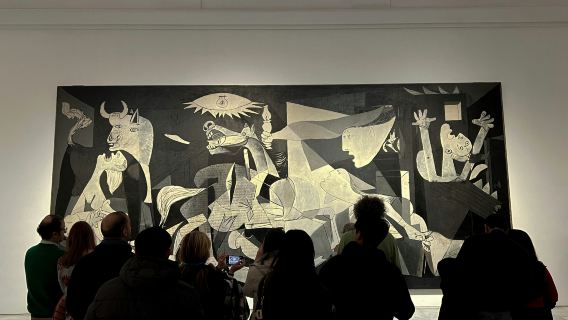 Reina Sofia Museum: Skip The Line Entry + Guided Tour