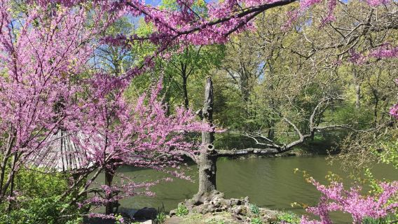 New YorkTours