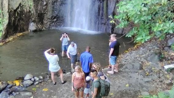 KingstownTours