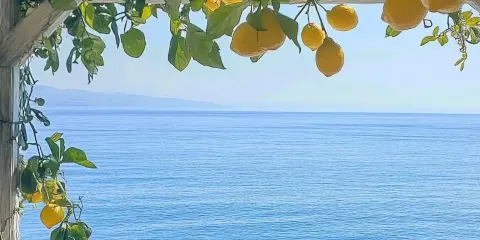法國尼斯特色遊:芒通+摩納哥+埃茲【10小時包車遊】