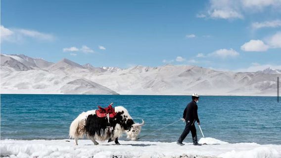 UrumqiTravel Services