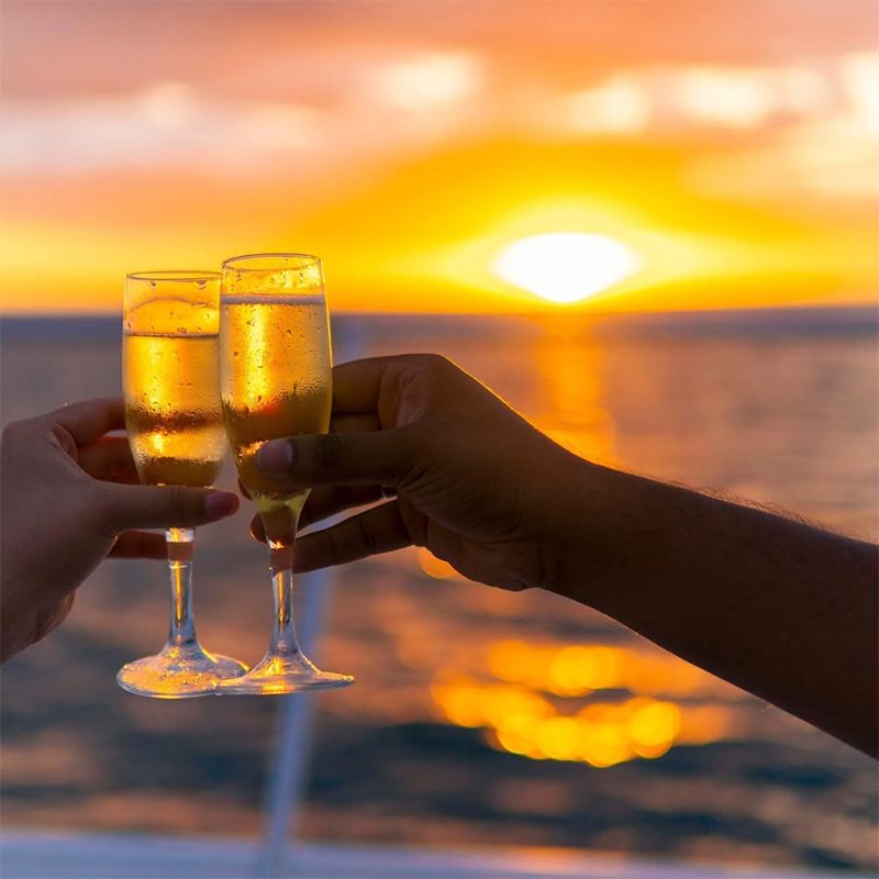 피지 캡틴 쿡 크루즈 당일 치기 여행 피지 문화 공연 바비큐 저녁 식사 호텔 픽업 서비스