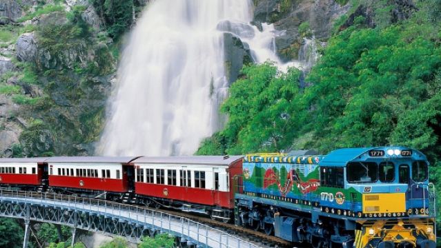 開恩茲庫蘭達熱帶雨林一日遊【中文司導|上門接送|升級抱樹熊】