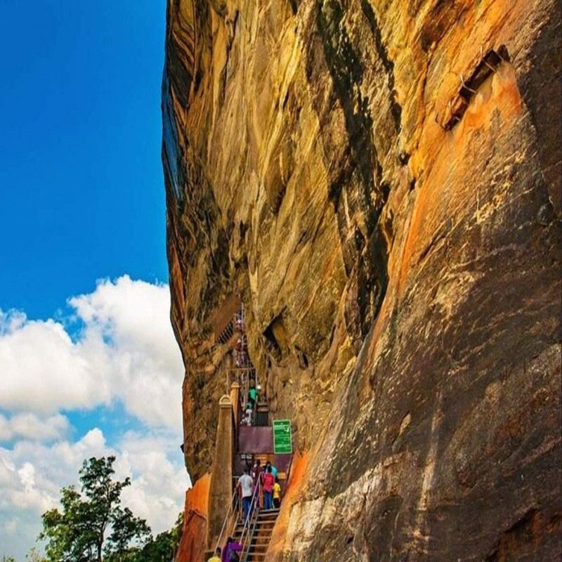 Excursión de un día a la Roca del León y Dambulla desde Colombo en Sri Lanka 14040