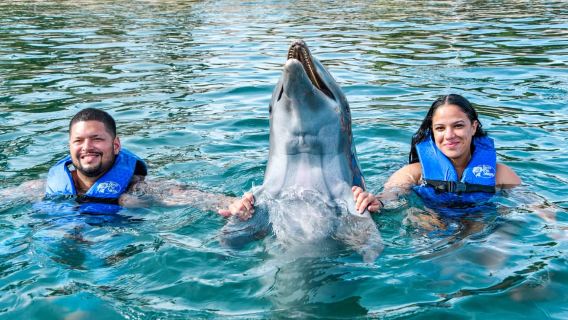 Puerto Plata: Ocean World Adventure Park Nuota con i delfini