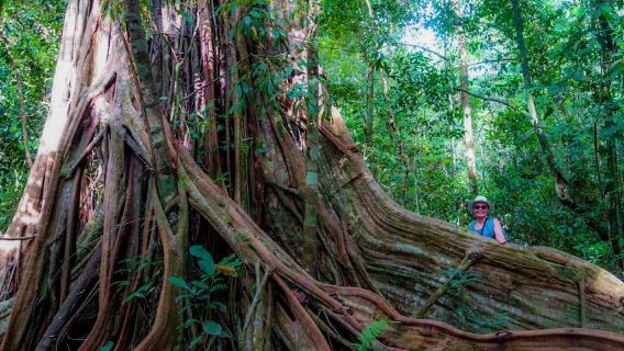 Corcovado National Park- Sirena/San Pedrillo Station - 1 Day