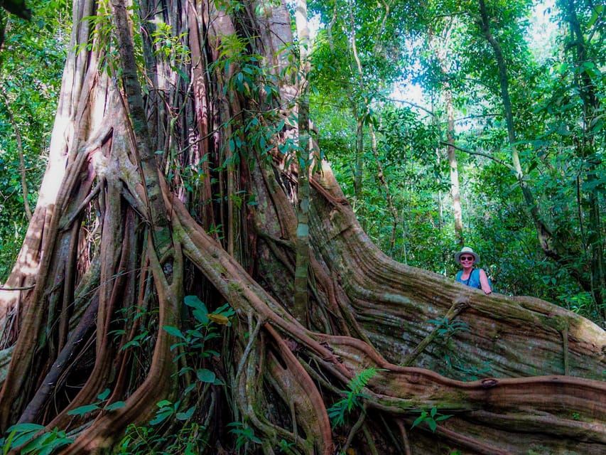 Corcovado National Park- Sirena/San Pedrillo Station - 1 Day