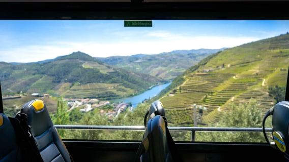 Da Porto: tour di un giorno intero nella valle del Douro e del vino con pranzo