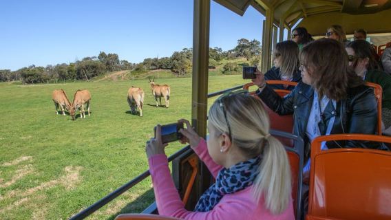 Dari Melbourne: Kebun Binatang Terbuka Werribee & Rumah Besar Werribee