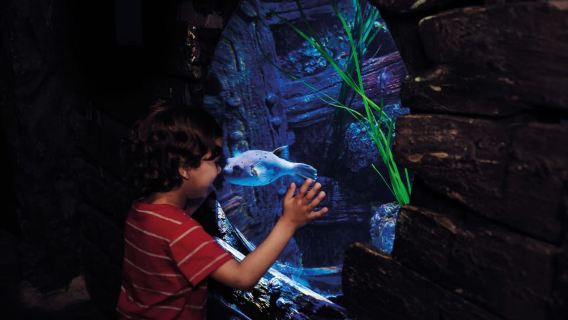 London: Madame Tussauds, London Eye & SEA LIFE Kombiticket