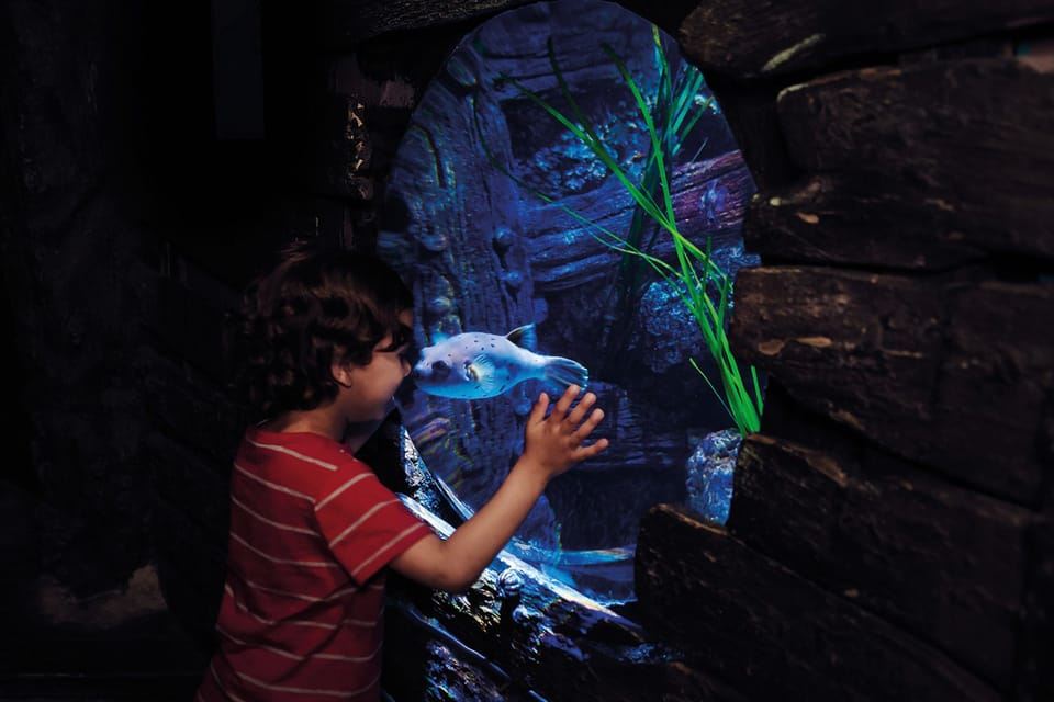 London: Tiket Kombo Madame Tussauds, London Eye & SEA LIFE