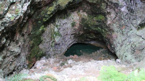 From Rotorua: Taupo Day Trip with Orakei Korako or Waiotapu