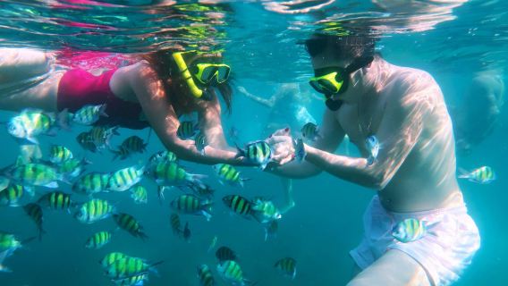 プーケット発 3つのカイ島スピードボートで楽しむシュノーケリング半日ツアー【午前/午後の部選択可能+送迎付き+ガイド同行】